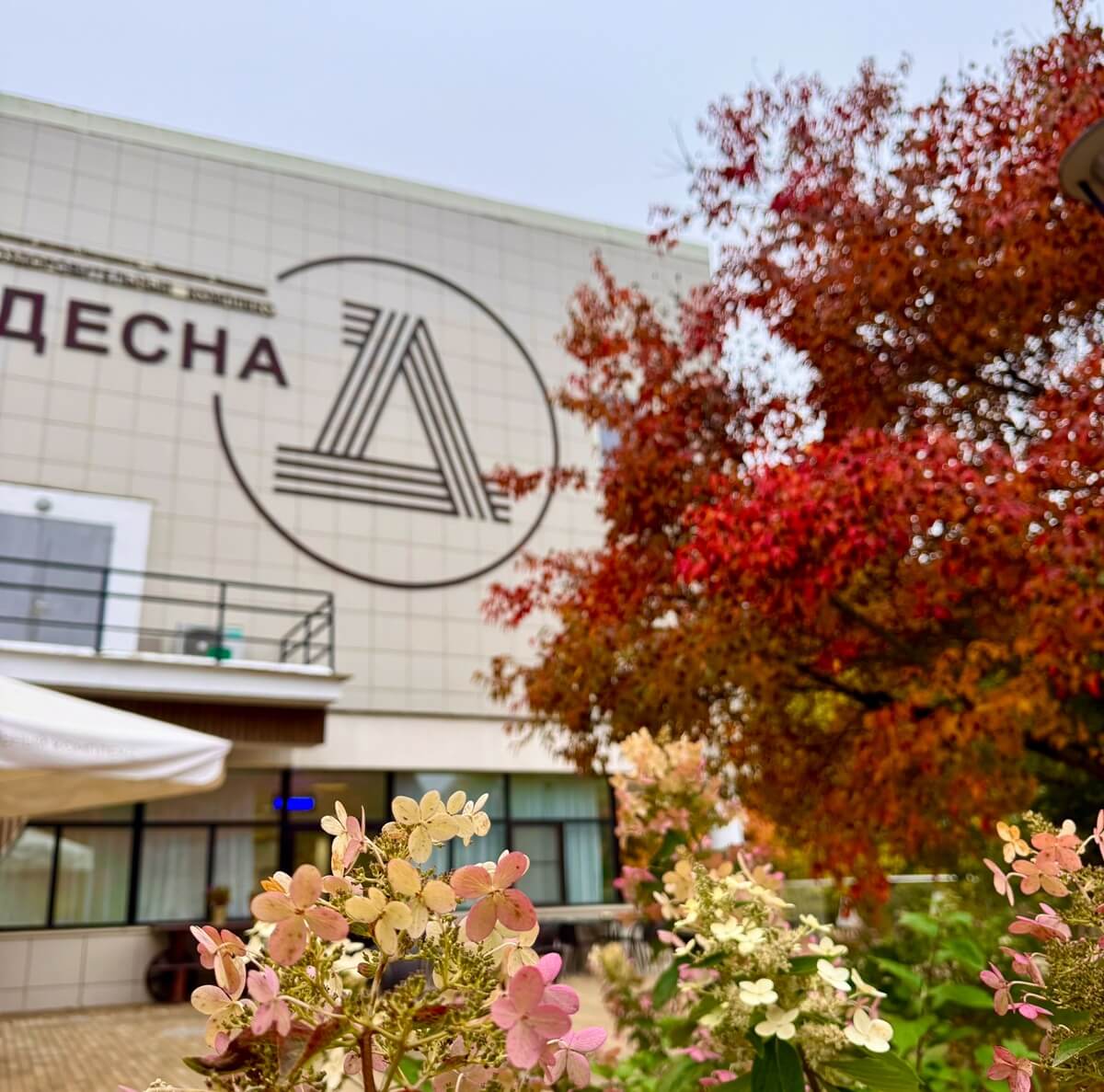 Оздоровительный комплекс Десна УДП